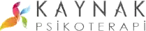 Kaynak Psikoterapi — DijitalPi referansı